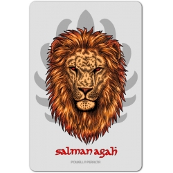 Salman Agah Lion