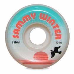 53mm Sammy Winter 21q1 Fc 101a