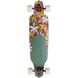 Dusters Cruiser Longboard Complet Longboard Channel Floret Red Green 38 
