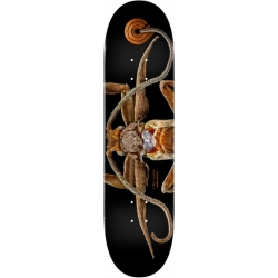 Powell Peralta Planche Skateboard Ps Biss Marion Moth 8.25 X 31.95 