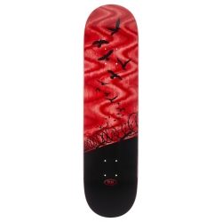Real Tavola da skateboard Set Free Specrum Red 8.06 X 31.5 