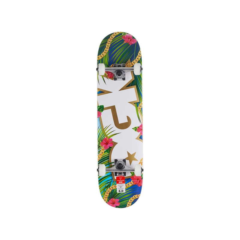 DGK skateboard complet 8.25 Vacation