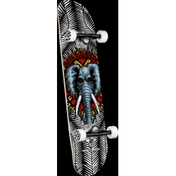 Powell Peralta 8.0 X 31.45 Vallely Elephant White 