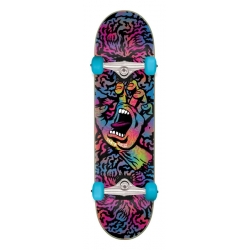 Santa Cruz Skateboard complet 8.25 X 31.5 Obscure Hand Large 