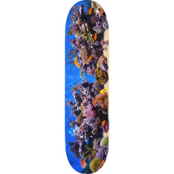 Mini Logo planche skateboard Fin Fur Feather 18 Fish Tank 8.25 X 31.95