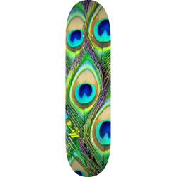 Mini Logo planche skateboard Fin Fur Feather 18 Peacock 8.25 X 31.95