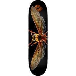 Powell Peralta Planche Skateboard Ps Biss Potter Wasp 8.0 X 31.45 