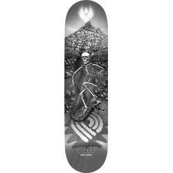 Skateboard Deck Powell Peralta Flight Jm Duran Slidewinder 5 Silver 8.88 X 34.7 | Independent Skateshop