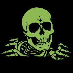 Spelden / Badge Powell Peralta Pin Ripper 4 Glow - Beeld 2