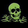Spelden / Badge Powell Peralta Pin Ripper 4 Glow - Beeld 167235