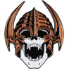 Spelden / Badge Powell Peralta Pin Per Welinder III Copper - Beeld 167239