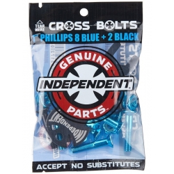 1 "Phillips Blue Black Schraube