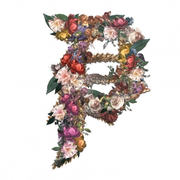 Primitive Tribute Digital Print On Clear Sticker Skate