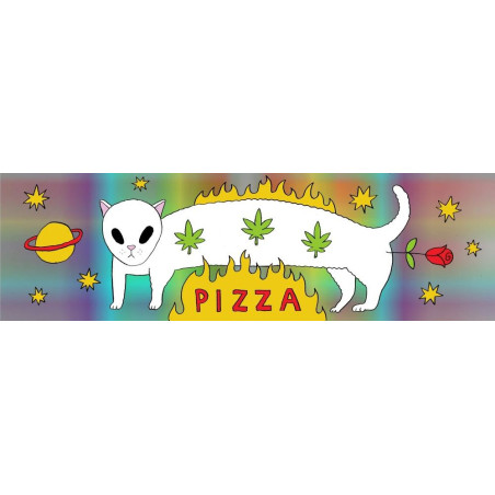 Pegatina Pizza Space Cat